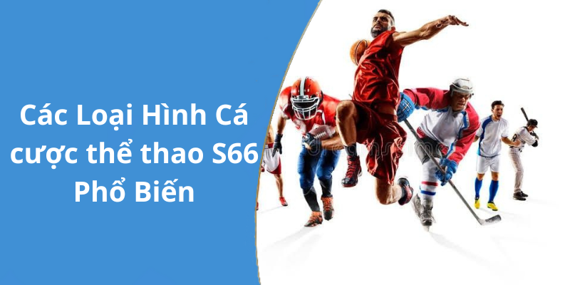 Các Loại Hình Cá cược thể thao S66 Phổ Biến