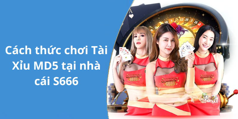 Cách thức chơi Tài Xỉu MD5 tại nhà cái S666